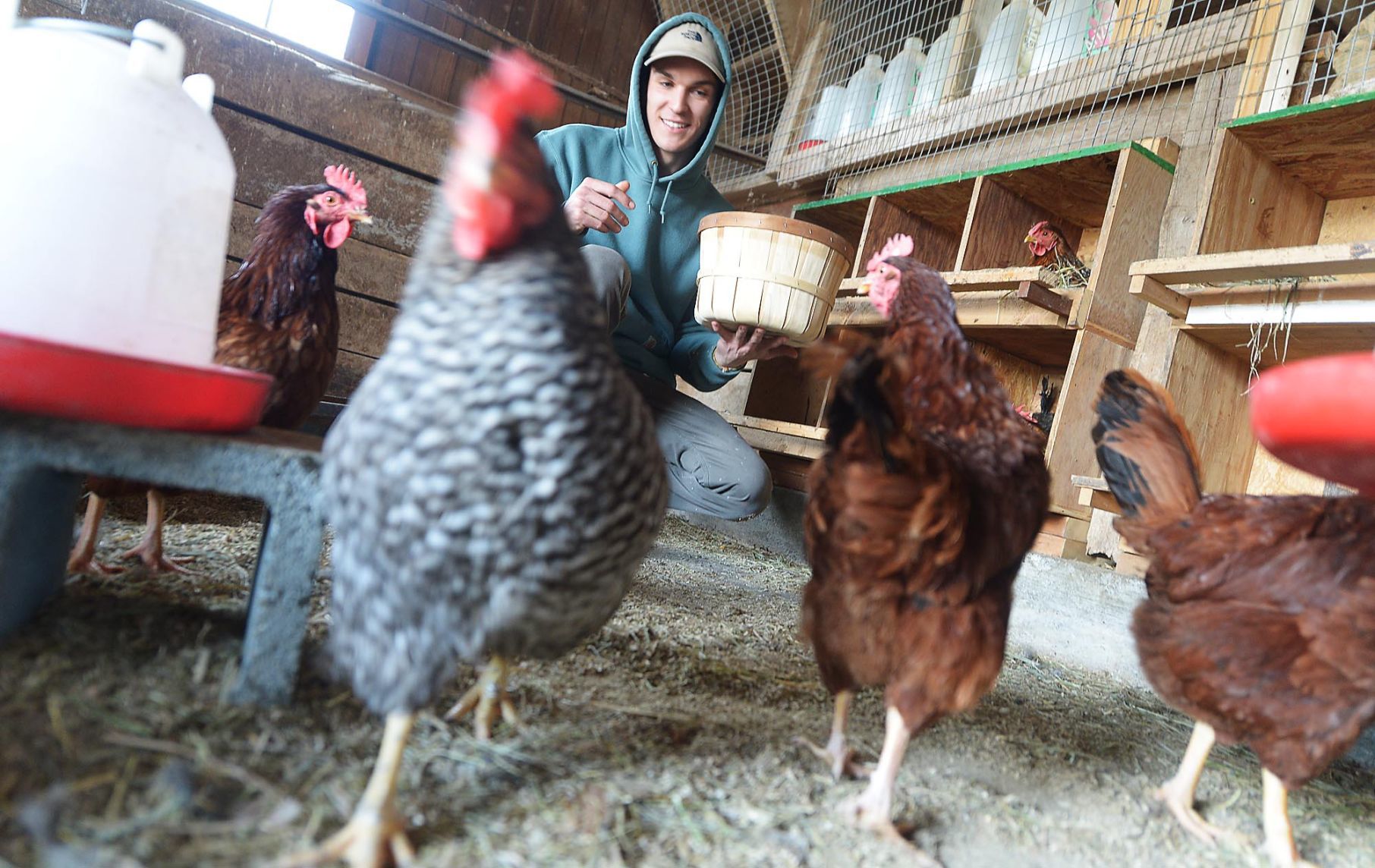 Basehore Family Farm